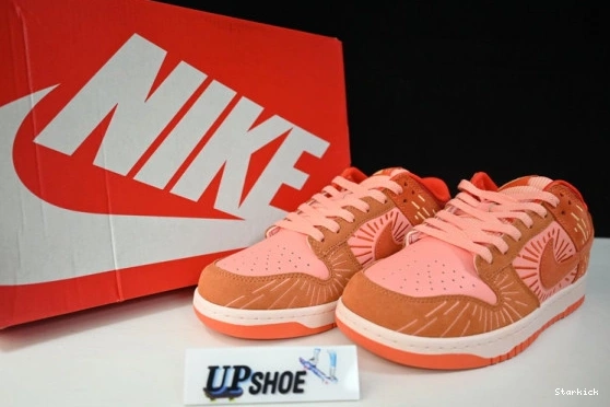 (W) Winter DO6723-800 Low NH Dunk Nike Solstice 0330